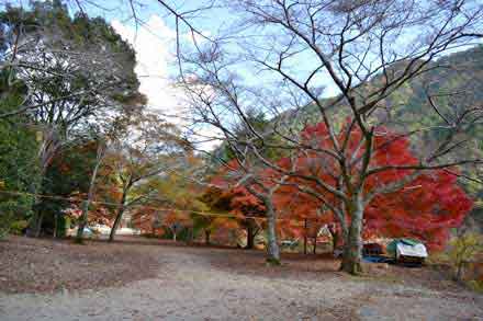 鳳来湖 紅葉 新城市 東三河を歩こう