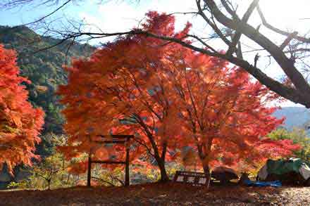 鳳来湖 紅葉 新城市 東三河を歩こう